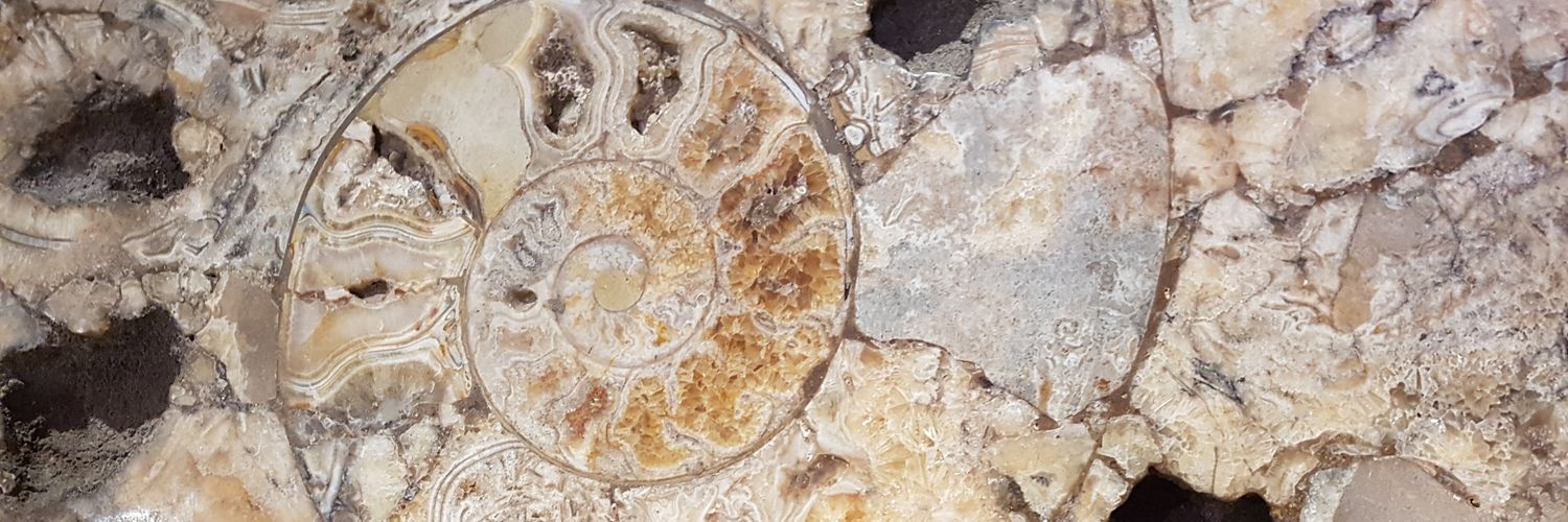 Jonna Salonen banner