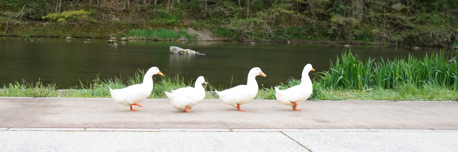 Sakura(作楽) banner