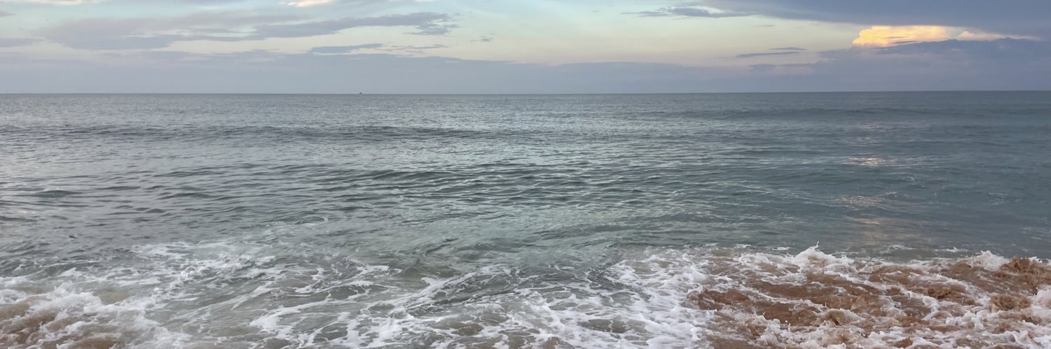 KimS83's profile banner image