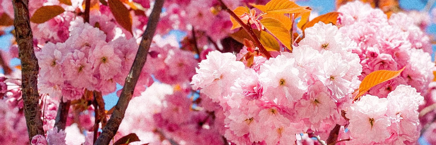 Vitorina89's profile banner image