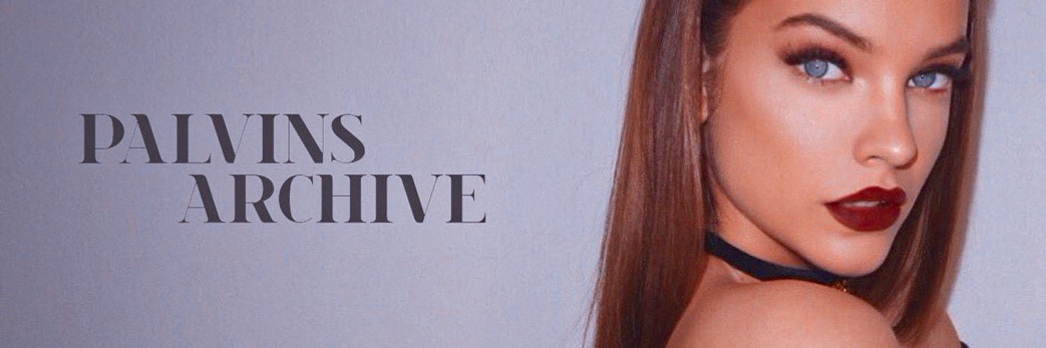 palvinsarchive's profile banner image
