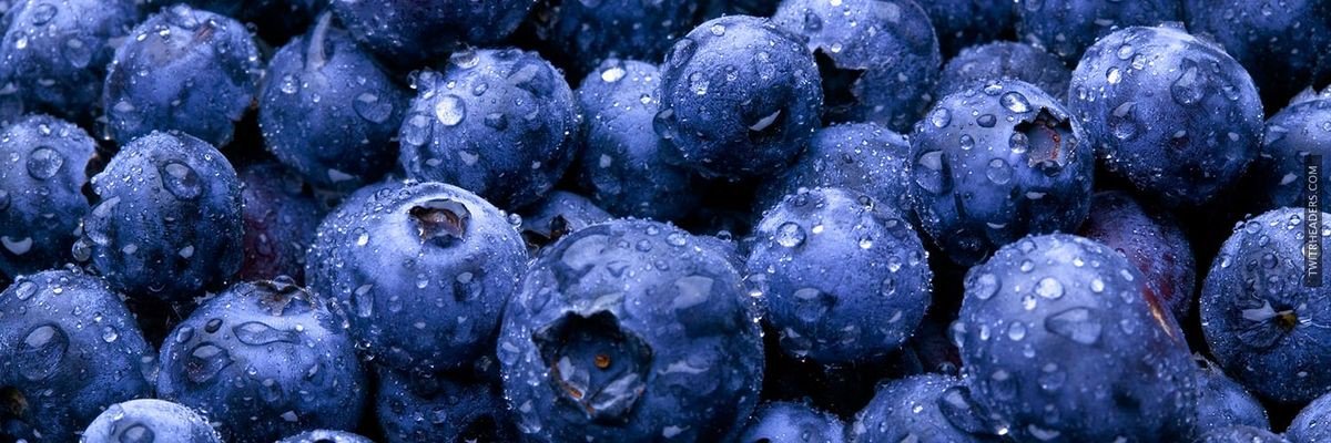 mariskafansMex's profile banner image