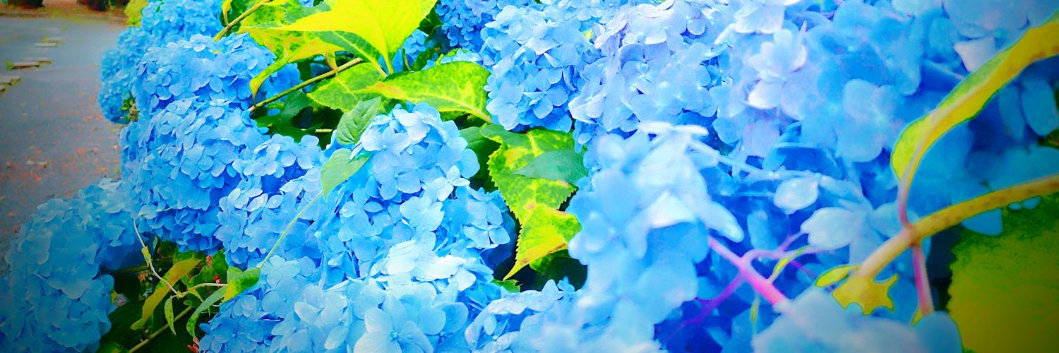 JORUNA000's profile banner image