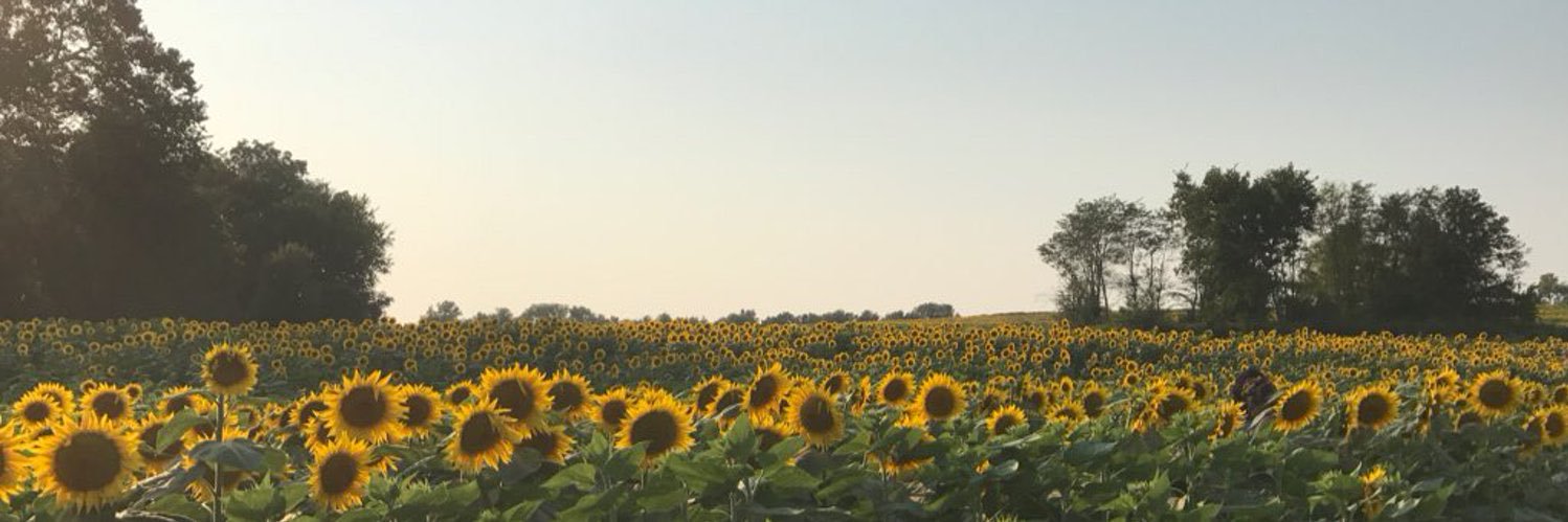 nat_morrison412's profile banner image
