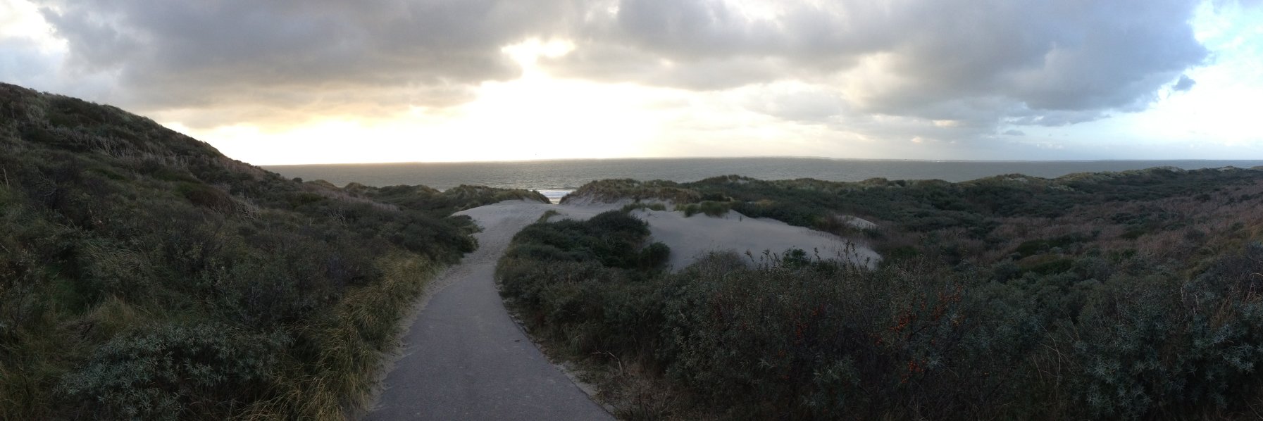 RobZwanenberg's profile banner image