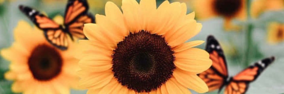 lighteningbitch's profile banner image