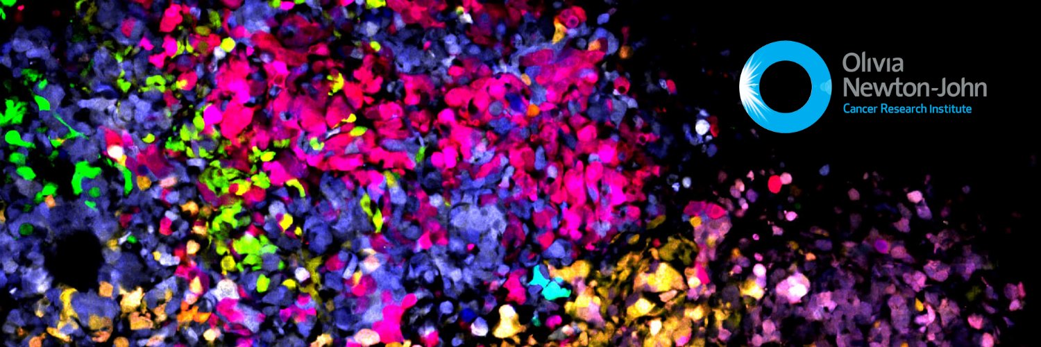 Christine De Nardo banner