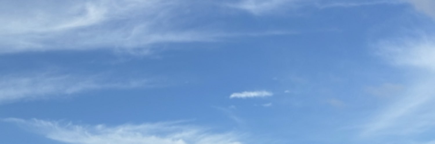 dandeodoro's profile banner image