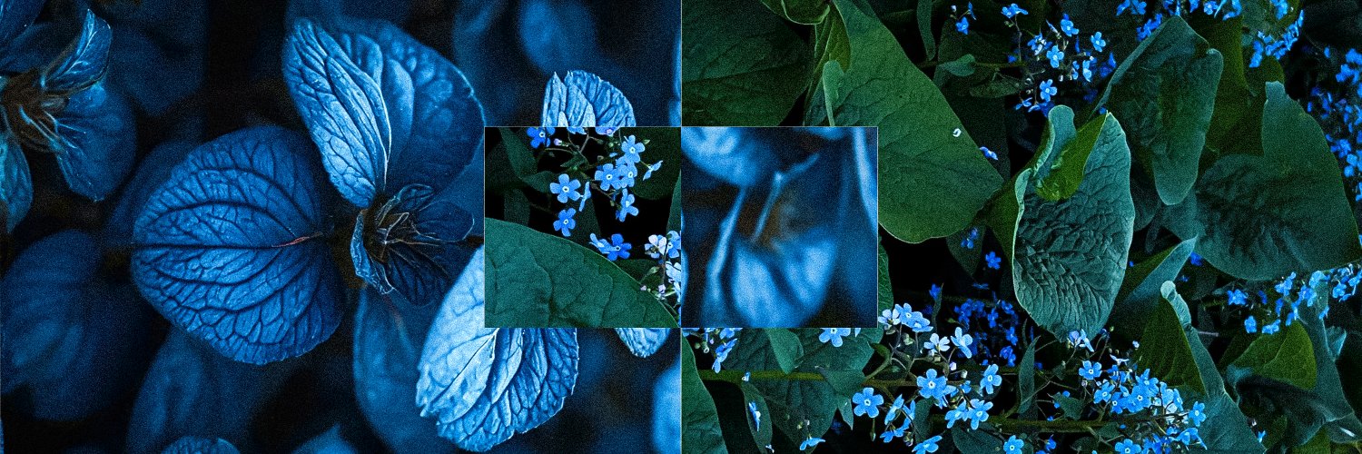ashyeoon's profile banner image