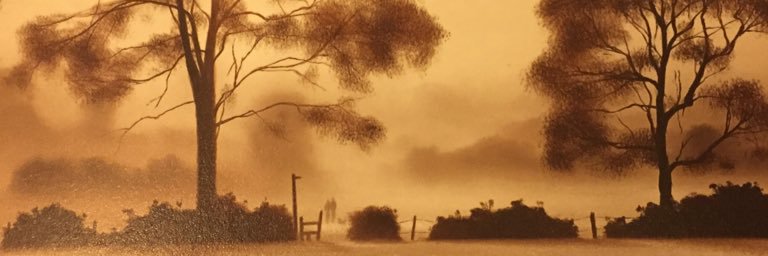 VelvetNed's profile banner image