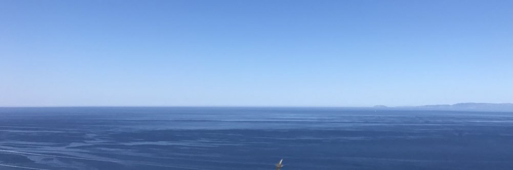 Ioannis Leotsakos banner