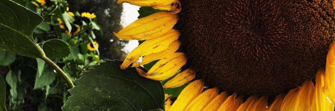 MissRachelWMann's profile banner image