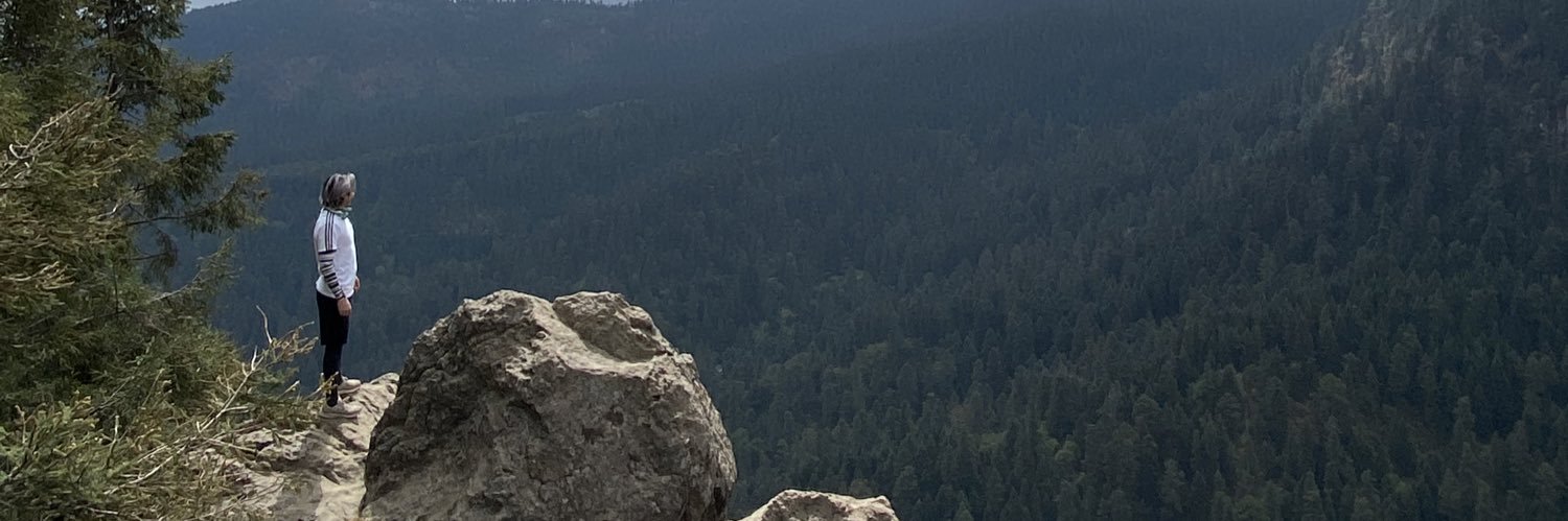 poloveg's profile banner image
