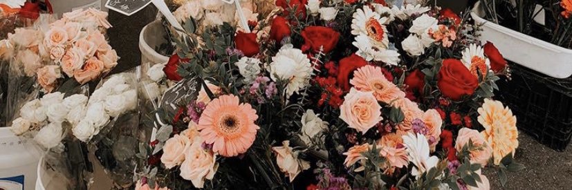 Ashley Nell Tipton banner