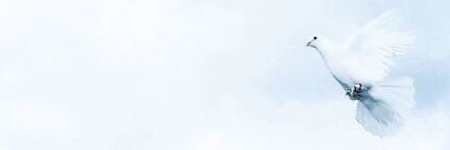 enaas_'s profile banner image