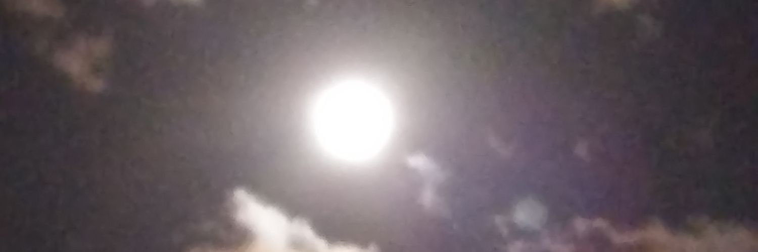 pitheticclown's profile banner image