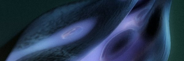junction_2 Profile Banner