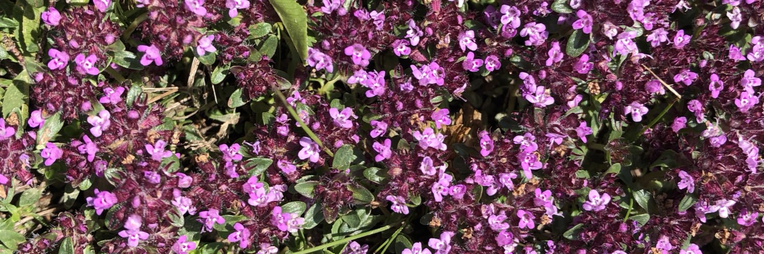 Menchu Guerrero banner