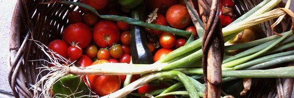 BarbaraPocock Profile Banner