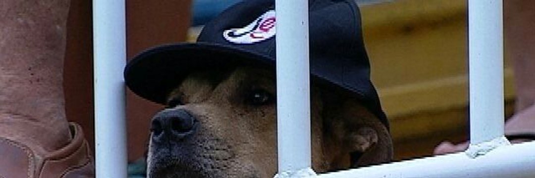 luizgois's profile banner image