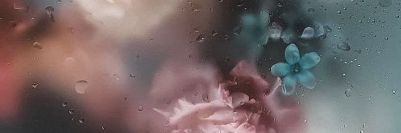 Andrea Lu banner