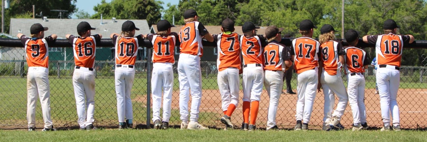 Dinsmore Minor Ball banner