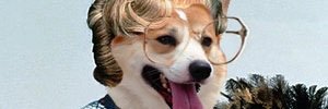 bobby_brady's profile banner image