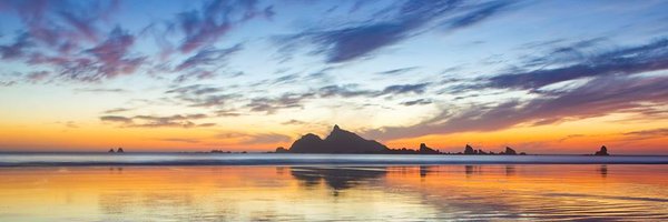 currypilot Profile Banner