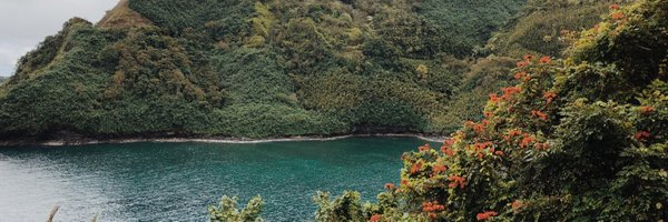 HannimalStyle Profile Banner