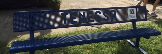 Tenessa Gemelke banner