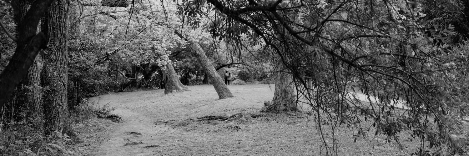 dcoyphoto's profile banner image