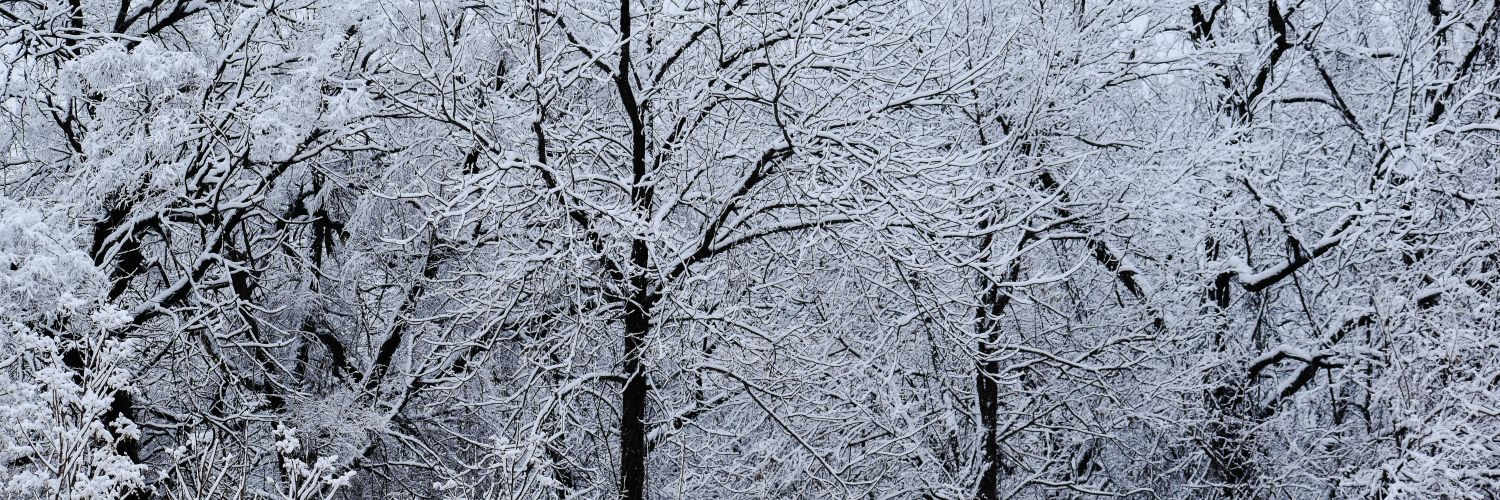 kitkat32301's profile banner image