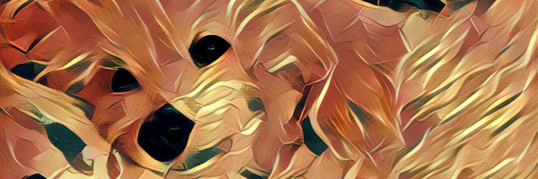 silsol9's profile banner image