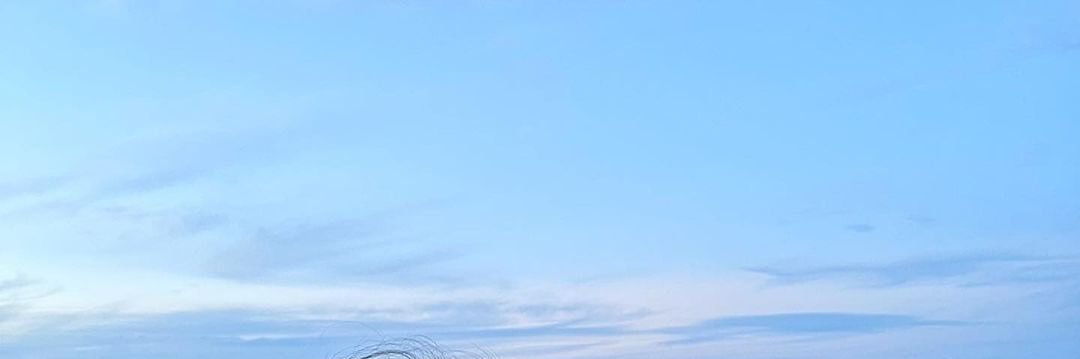 NangNoo1's profile banner image