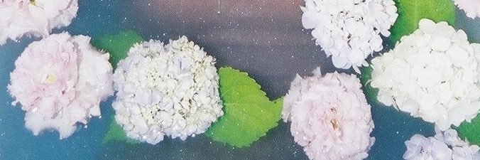 山形りお banner