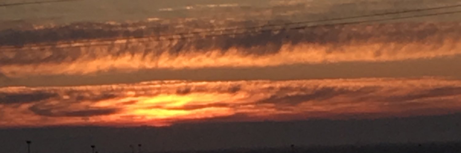 Zorukah's profile banner image