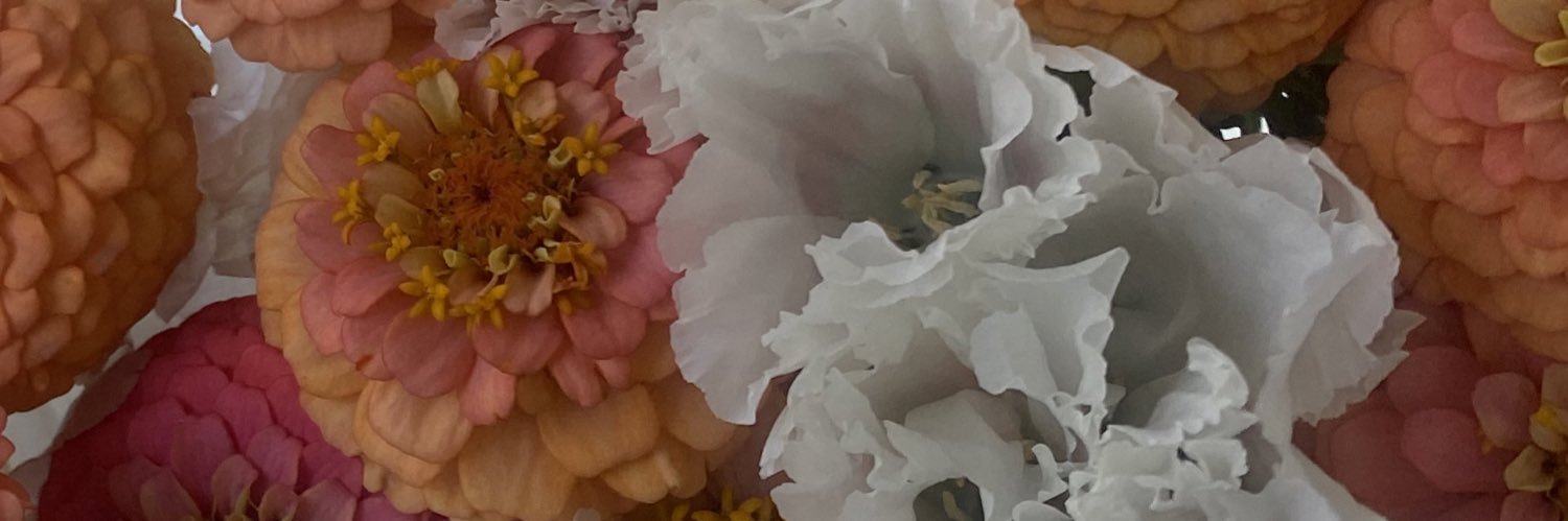 MorrenJessi's profile banner image