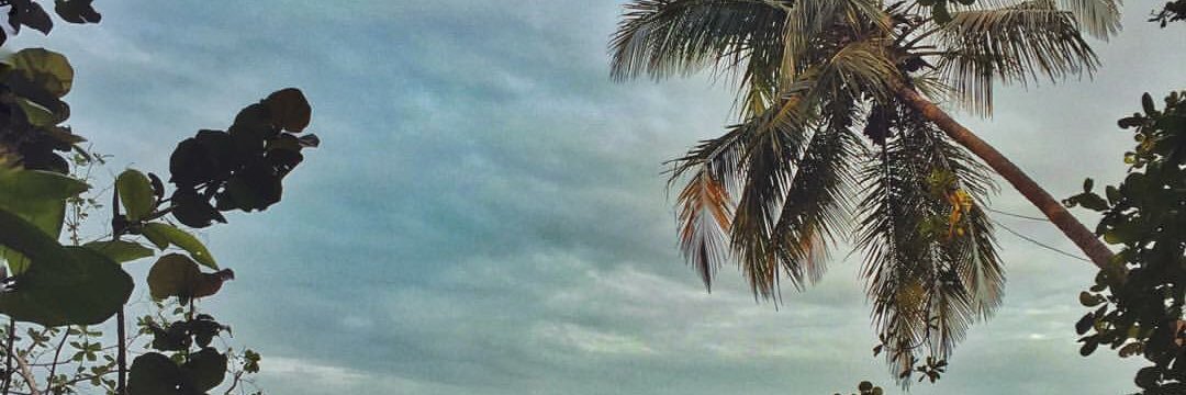 ctencioo's profile banner image