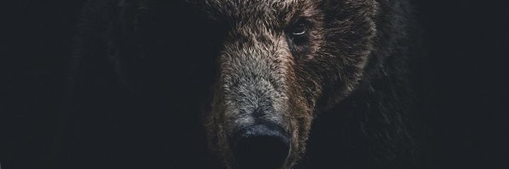 NSCarts's profile banner image