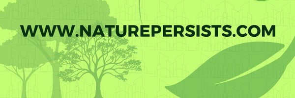 ZenaEdwards Profile Banner