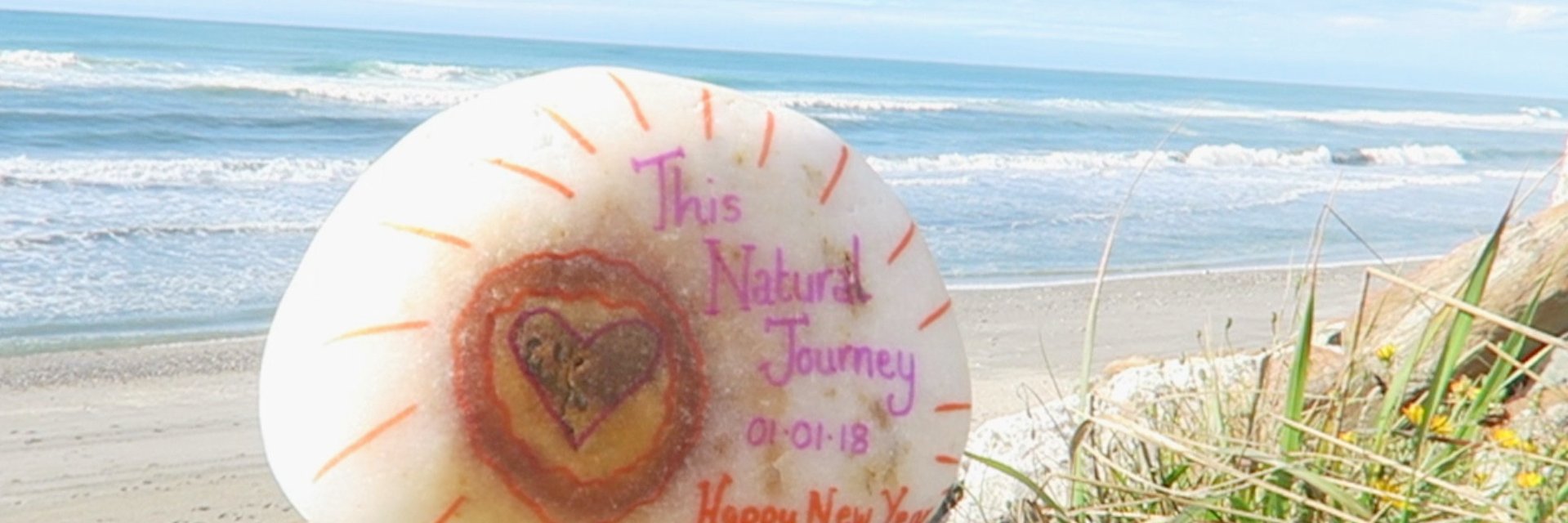 TNaturalJourney's profile banner image