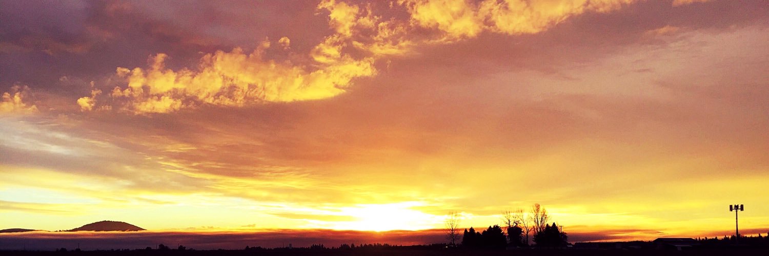 maddyseaman's profile banner image