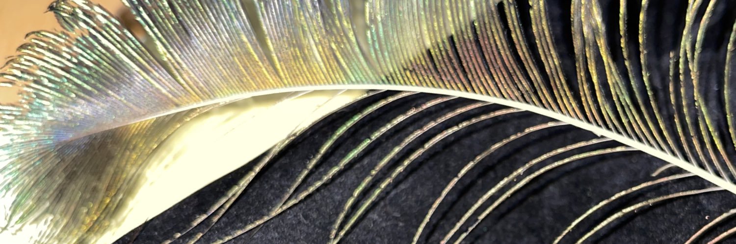 ms_rae75's profile banner image