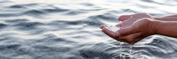 Condorchem Profile Banner