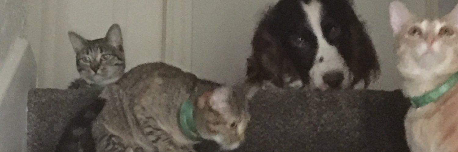 Delilahdjw's profile banner image