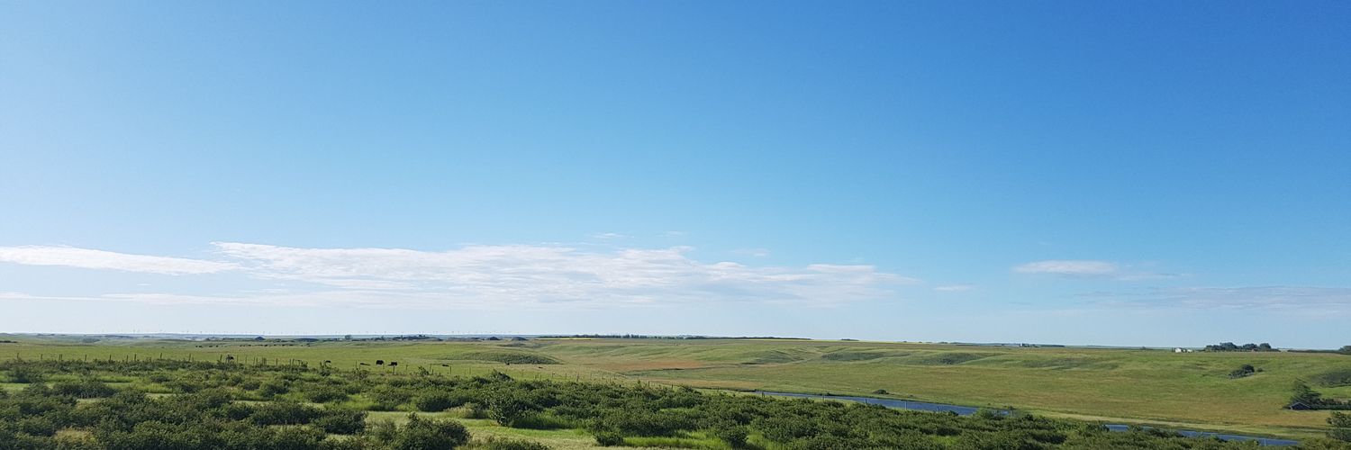 Jillybeanss23's profile banner image