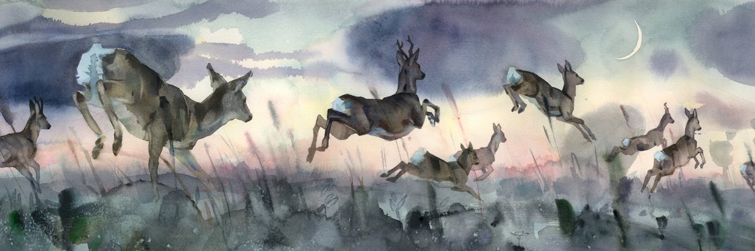 aalmatrood's profile banner image