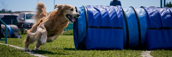 fleepa0 Profile Banner