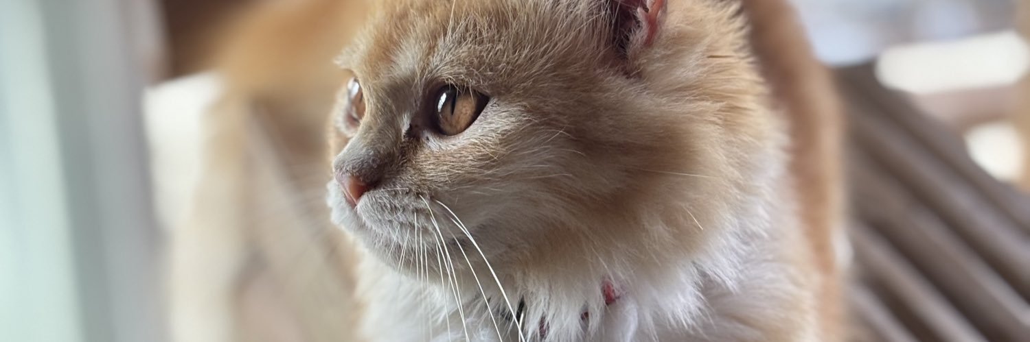 _mgdanielle's profile banner image