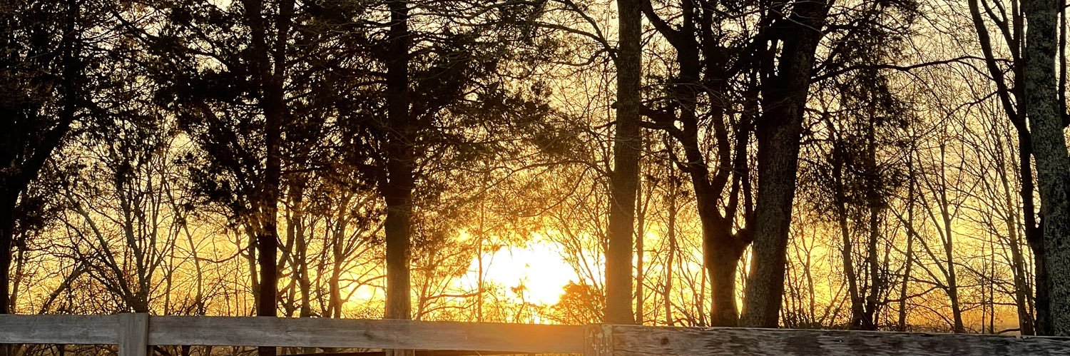 Rachel Talbott banner